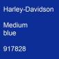 Preview: Harley-Davidson, Medium blue, 917828.